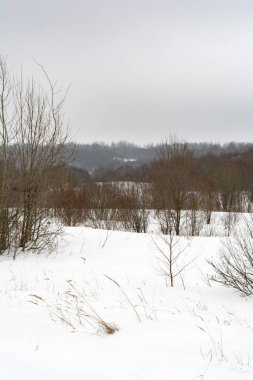 kar alan ve orman, kış günü bulutlu