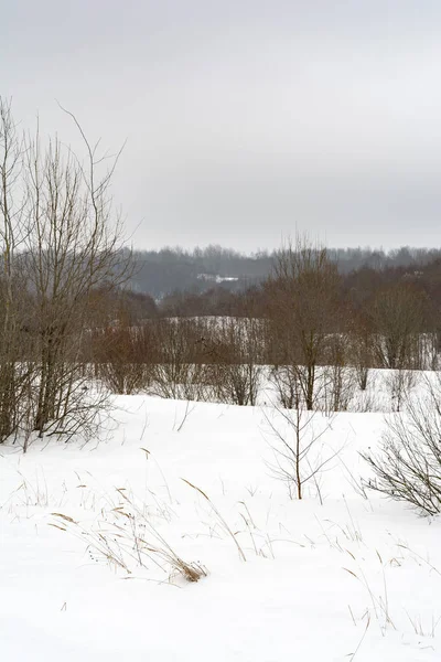 kar alan ve orman, kış günü bulutlu