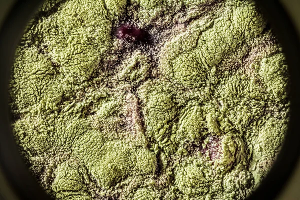 Gıda meyve büyütme kalıp. Makro, kalıp yeşil tonları ile doğal kalıp arka plan