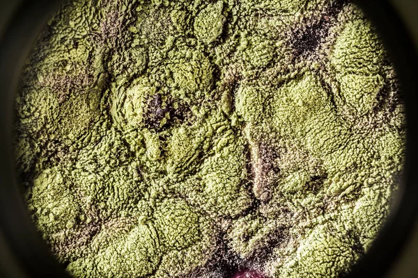 Gıda meyve büyütme kalıp. Makro, kalıp yeşil tonları ile doğal kalıp arka plan