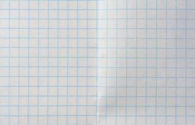 Bir kafes, iki sayfa bir kafes içinde doku notebooklar defter sayfası