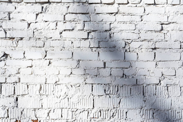 texture of old white brick wall with destroyed plaster layer and shadows from trees, architecture abstract background