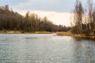 bir orman Gölü ve bulutlar ile gökyüzü, erken baharda bulutlu hava