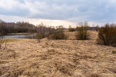 Kuru Çim ve ağaçlar yaprakları olmadan bahar alanı, Orman Gölü, erken baharda bulutlu gün