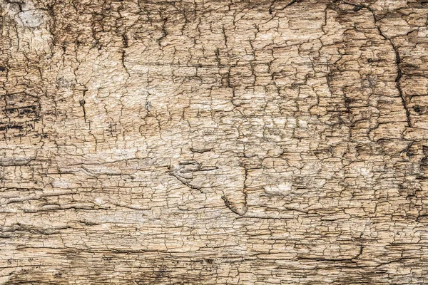 Primer plano de la textura grunge de madera natural antigua. Superficie oscura con antiguo patrón de madera natural. Suelo de madera vintage . — Foto de Stock