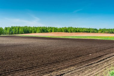 Tarım alanları bahar süre boyunca havadan görünümü.