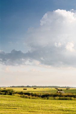 Yuvarlak balyalar sonbaharın son göreceli sıcaklığı devam ederken kuzey Büyük Ovalar'daki bir tarlabuğday tarlasını doldurur. Sarı alanlar ve mavi gökyüzü ile Akşam yaz manzara.