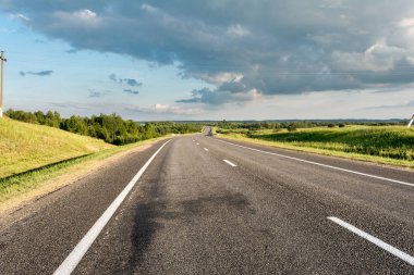 Yol işaretleme elemanları ile modern asfalt yol. Bir ormandan geçen iki şeritli otoyolun perspektif görünümü