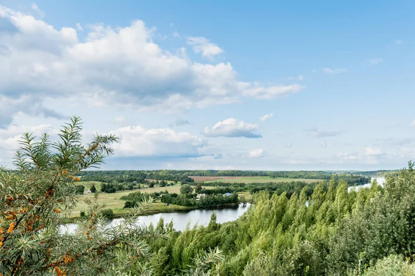 Vista del río desde la cima a través de los árboles y arbustos, día nublado de verano — Foto de Stock