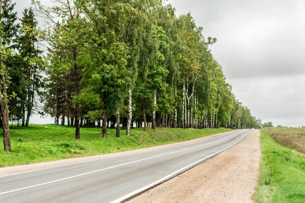 kumlu bir yol kenarı ile asfalt yol, sık sık dikilen ağaçlar ile yeşil alan, peyzaj bulutlu sonbahar günü