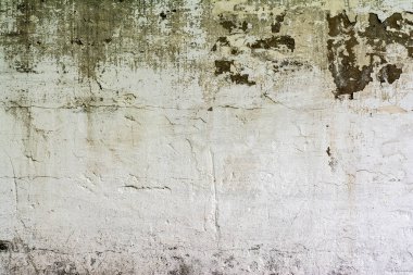 tahrip alçı tabaka ve boya ile doku beton duvar, ağaçlardan gölge, mimari soyutlama arka plan