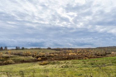 Yeşil tarlalar ve sarı ve turuncu yapraklı ağaçlar. Bulutlu mavi gökyüzü ile Avrupa sonbahar manzarası