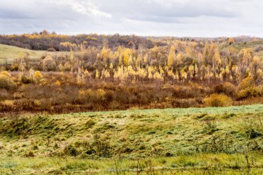 Yeşil tarlalar ve sarı ve turuncu yapraklı ağaçlar. Bulutlu mavi gökyüzü ile Avrupa sonbahar manzarası