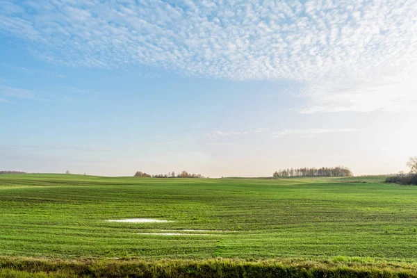 绿地蓝天白云，自然景观背景 — 图库照片
