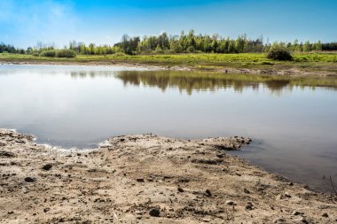 Ormanda kuruyan gölet, yaz mevsiminde doğal manzara.