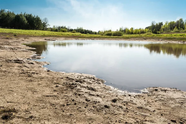 Vysoušení Rybníka Lesní Mýtině Přírodní Krajina Letních Časech — Stock fotografie