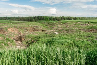 Bir vadiyle yeşil alan ve ağaçları ve çalıları kesmek, gereksiz bitki örtüsünü temizlemek, baharda kereste toplamak.