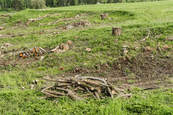 Zelené Pole Roklí Pokácením Stromů Keřů Odstranění Zbytečné Vegetace Jarní — Stock fotografie