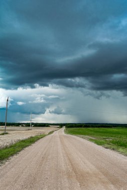 Kırsal kumlu yol buğday ekilmiş bir tarladan geçiyor. Fırtına kasırgasının büyük kasvetli bulutları. Yağmur mevsiminde yaz doğası