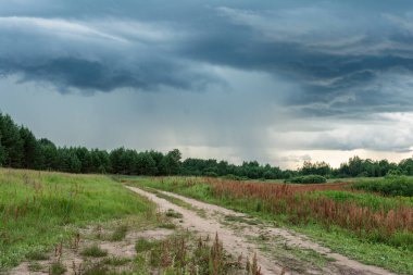Bataklıklar ve vahşi tarlalar boyunca şiddetli fırtınalar, yaz arkaplanı.