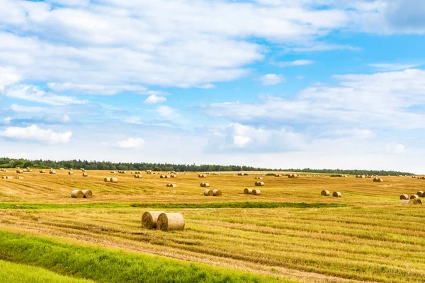 Bales Hay Farmland Blue Cloudy Sky Nature Summer Background — Stock Photo, Image