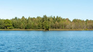 Küçük dalgalı mavi su dalgaları, ufuk ormanı berrak sonbahar gökyüzü. Doğa manzarası arka planı