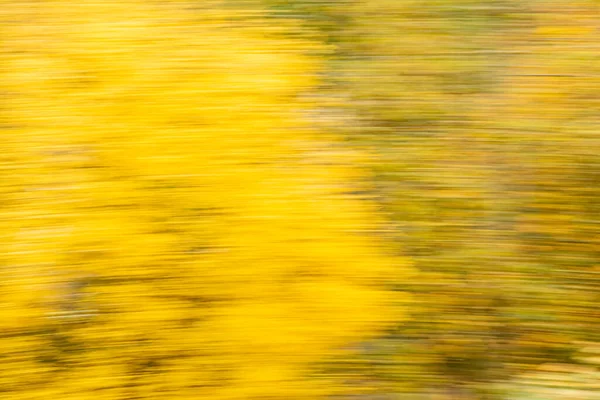 Abstract yellow green colors background of autumn leaves with zoom effect motion blur. Zoom speed blured motion.