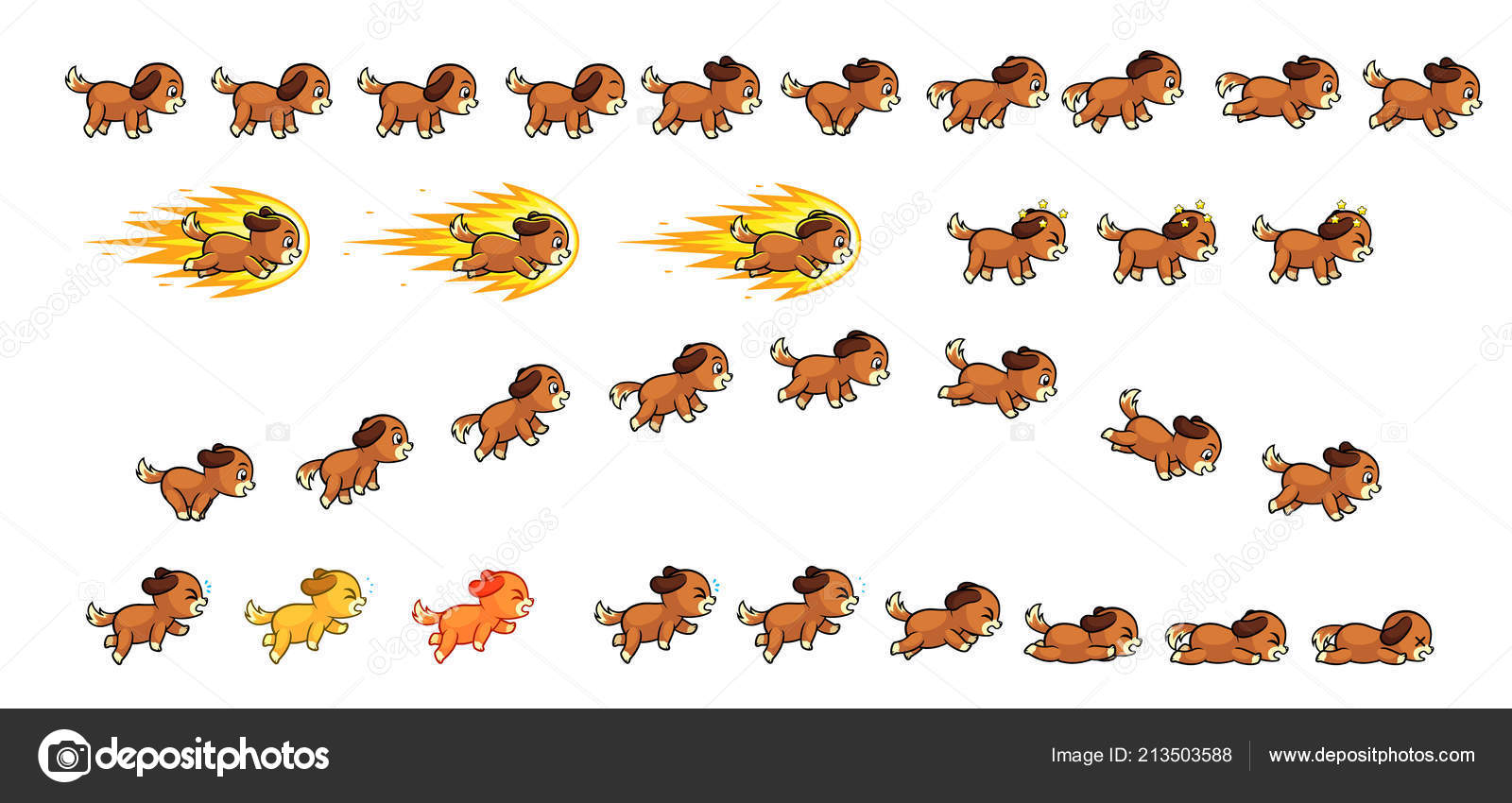 Dog, image size:1600x850