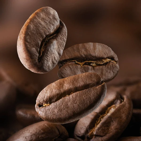 Roasted coffee beans falling on pile. Dark colors — Stock Photo, Image