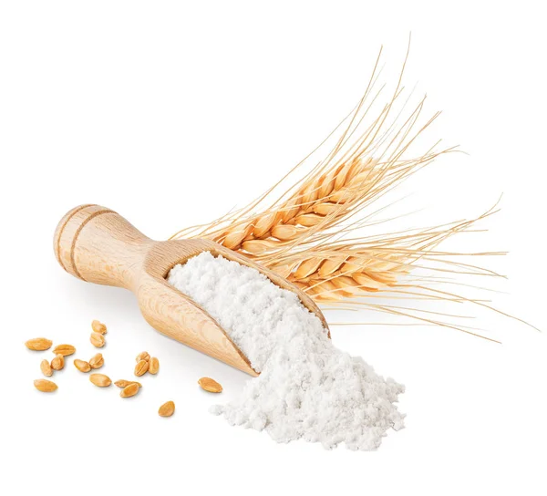 Farine de blé de grains entiers et les oreilles isolés sur blanc — Photo