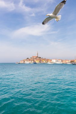 Panoramik kent Rovinj, Hırvatistan üzerinde.