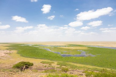 Amboseli Ulusal Parkı, yaban hayatı koruma alanı Kenya görünümünü Panoramiv.