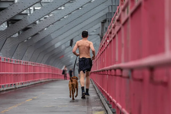 Неузнаваемый бегун топлесс и собака на мосту Уильямсбург, Нью-Йорк, США . — стоковое фото