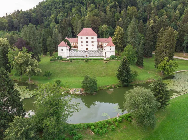 Panorámás kilátást, valamint vár, Gorenjska régióban, Szlovénia — Stock Fotó