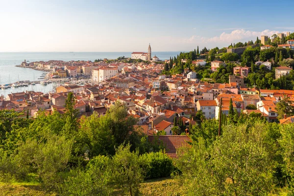 Panoraamanäkymät Piranin vanhaan kaupunkiin, Sloveniaan, Eurooppaan. Kesälomat matkailukonsepti tausta . — kuvapankkivalokuva