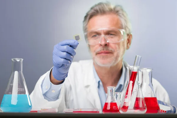 Senior life science research researching in modern scientific laboratory. — Stock Photo, Image