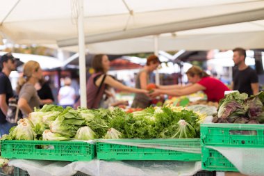 Ev yapımı bitkisel çiftçi Market alış mevsimlik unrecodnised insanlar organik sebze çeşitli ile durak.