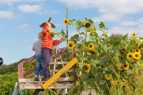 Barn som leker pirater i urbana trädgårdar på Tempelhofer fältet, en gång flygplats, nu en offentlig park i Berlin, Tyskland — Stockfoto