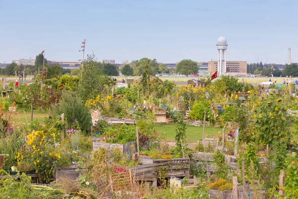 Urban gardening auf dem Tempelhofer Feld, ehemaliger Flughafen in Berlin, Deutschland. — Stockfoto