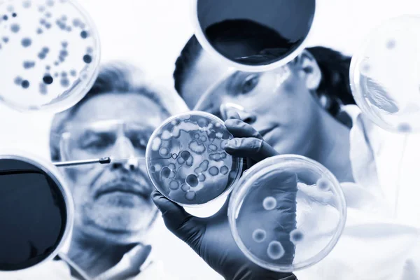 Life scientists researching in the health care laboratory. — Stock Photo, Image