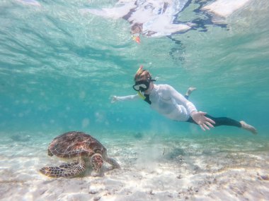 Tatil snokeling maskesi Yüzme deniz kaplumbağası Gili Adaları, Endonezya turkuaz mavi su ile giyen kadın. Sualtı fotoğraf.