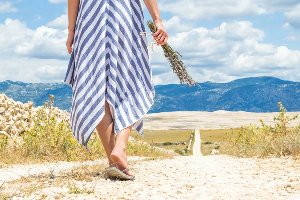 Detail einer Frau im Sommerkleid, die einen Strauß Lavendelblüten in der Hand hält, während sie im Sommer auf der Insel Pag im Freien durch trockene felsige mediterrane Küstenlandschaft spaziert — Stockfoto