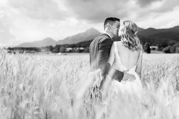 Braut und Bräutigam küssen und umarmen sich zärtlich im Weizenfeld irgendwo in der slowenischen Landschaft. — Stockfoto