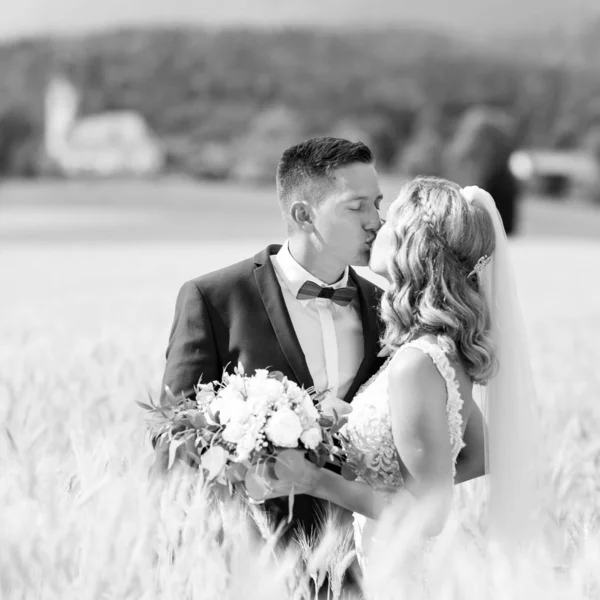 Braut und Bräutigam küssen und umarmen sich zärtlich im Weizenfeld irgendwo in der slowenischen Landschaft. — Stockfoto