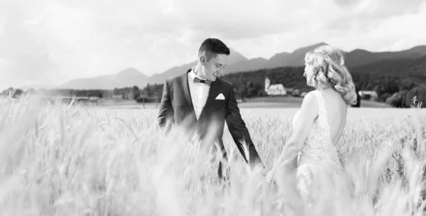 Novia y novio tomados de la mano en el campo de trigo en algún lugar de la campiña eslovena. —  Fotos de Stock
