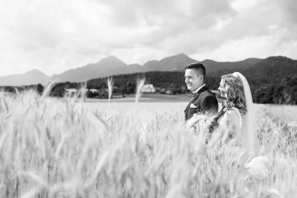 Novia abrazos novio tiernamente en campo de trigo en algún lugar en el campo esloveno. —  Fotos de Stock