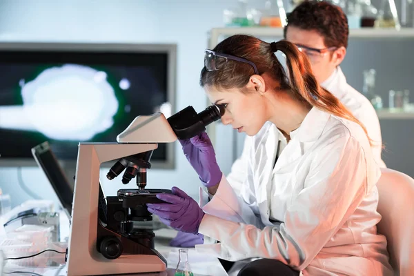 Jovens pesquisadores pesquisando em laboratório de ciências da vida. — Fotografia de Stock