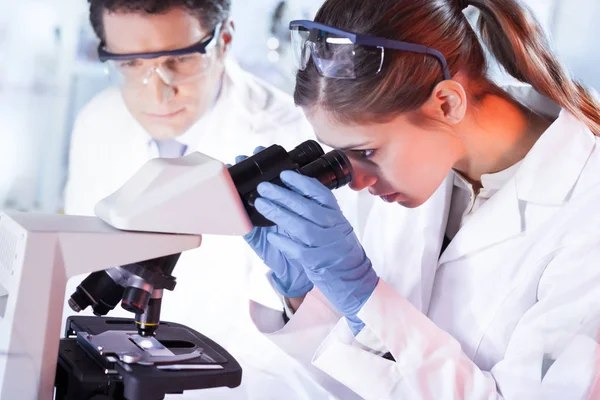 Jóvenes investigadores investigando en laboratorio de ciencias de la vida. —  Fotos de Stock