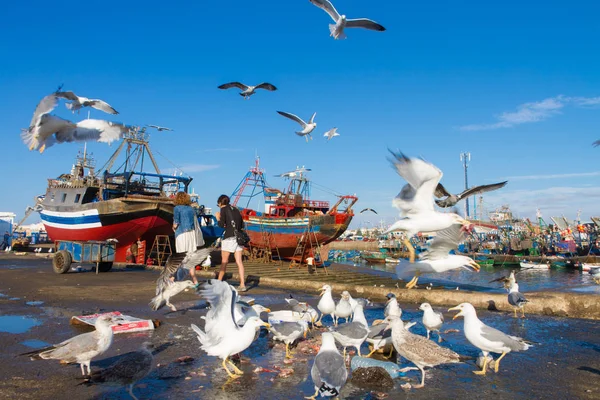 Flocks of seagulls flying over Essaouira fishing harbor, Morocco. Fishing boat docked at the Essaouira port waits for a full repair with a boat hook in the foreground — Stock Photo, Image