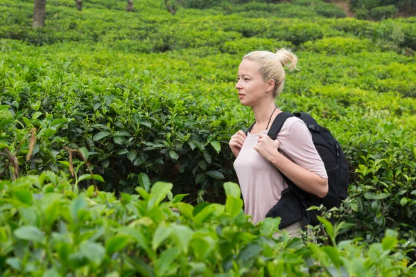 Активная кавказская блондинка, наслаждающаяся свежим воздухом и нетронутой природой, путешествуя по чайным плантациям близ Эллы, Шри-Ланки. Туристические приключения на свежем воздухе — стоковое фото